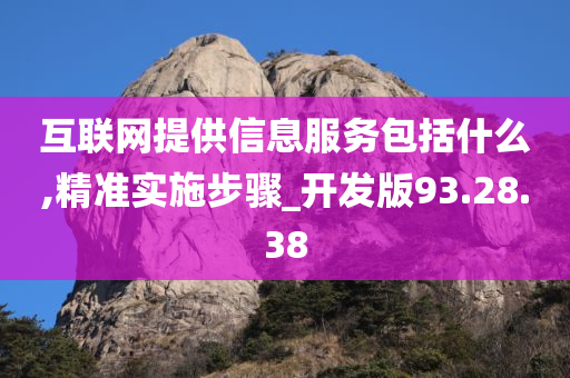 互联网提供信息服务包括什么,精准实施步骤_开发版93.28.38