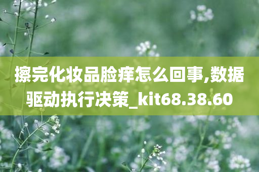 擦完化妆品脸痒怎么回事,数据驱动执行决策_kit68.38.60