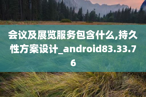 会议及展览服务包含什么,持久性方案设计_android83.33.76