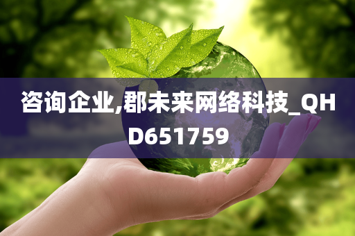 咨询企业,郡未来网络科技_QHD651759