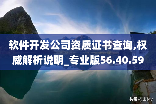 软件开发公司资质证书查询,权威解析说明_专业版56.40.59