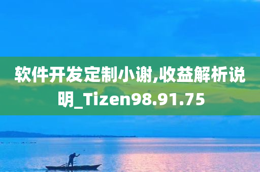 软件开发定制小谢,收益解析说明_Tizen98.91.75