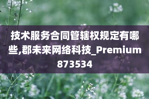 技术服务合同管辖权规定有哪些,郡未来网络科技_Premium873534