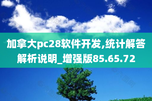 加拿大pc28软件开发,统计解答解析说明_增强版85.65.72