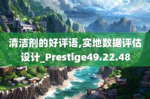 清洁剂的好评语,实地数据评估设计_Prestige49.22.48