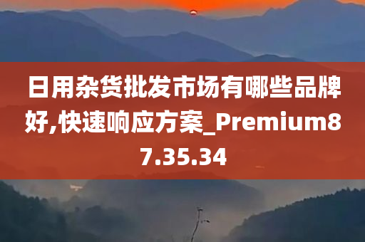 日用杂货批发市场有哪些品牌好,快速响应方案_Premium87.35.34