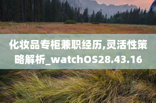 化妆品专柜兼职经历,灵活性策略解析_watchOS28.43.16