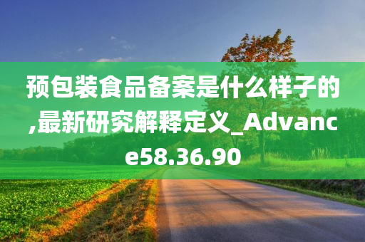 预包装食品备案是什么样子的,最新研究解释定义_Advance58.36.90