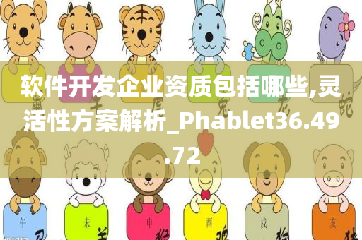 软件开发企业资质包括哪些,灵活性方案解析_Phablet36.49.72