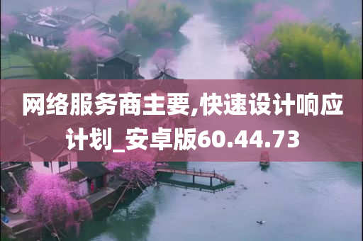 网络服务商主要,快速设计响应计划_安卓版60.44.73