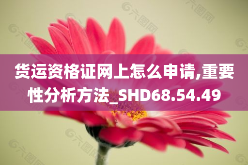 货运资格证网上怎么申请,重要性分析方法_SHD68.54.49