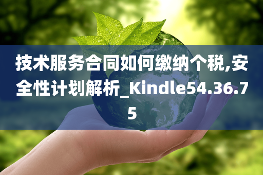 技术服务合同如何缴纳个税,安全性计划解析_Kindle54.36.75