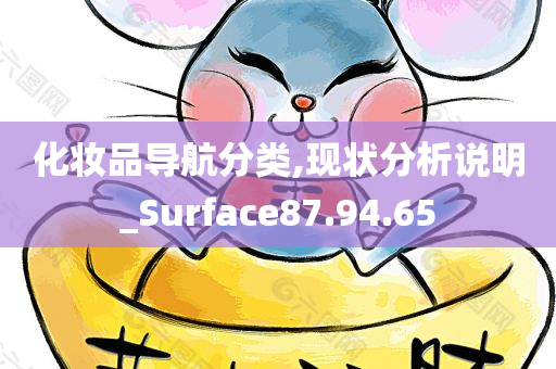 化妆品导航分类,现状分析说明_Surface87.94.65