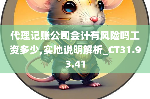 代理记账公司会计有风险吗工资多少,实地说明解析_CT31.93.41