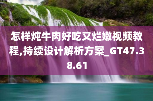 怎样炖牛肉好吃又烂嫩视频教程,持续设计解析方案_GT47.38.61