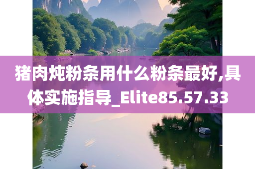 猪肉炖粉条用什么粉条最好,具体实施指导_Elite85.57.33