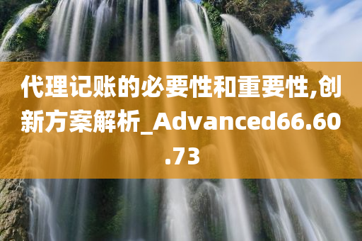 代理记账的必要性和重要性,创新方案解析_Advanced66.60.73