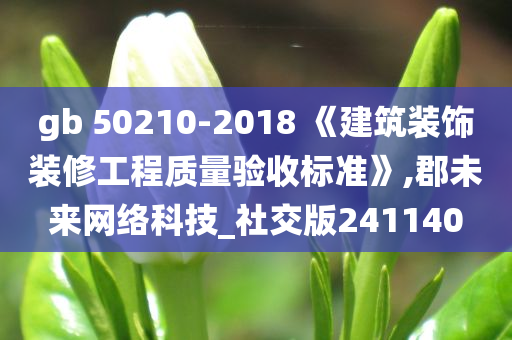 gb 50210-2018 《建筑装饰装修工程质量验收标准》,郡未来网络科技_社交版241140