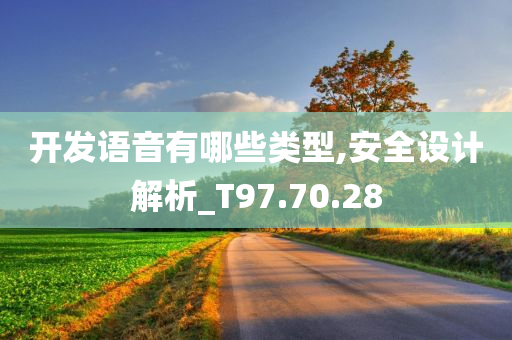 开发语音有哪些类型,安全设计解析_T97.70.28