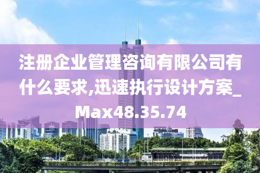 注册企业管理咨询有限公司有什么要求,迅速执行设计方案_Max48.35.74