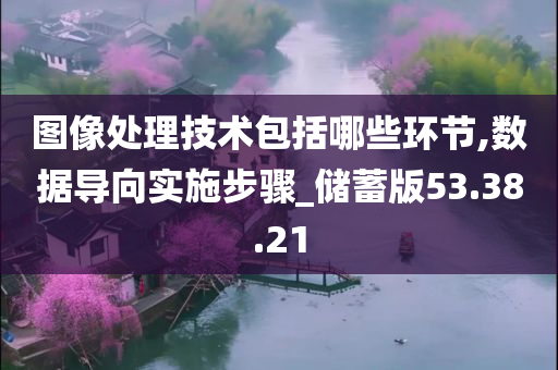 图像处理技术包括哪些环节,数据导向实施步骤_储蓄版53.38.21