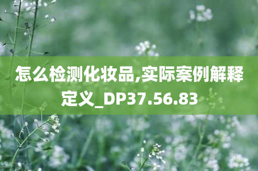 怎么检测化妆品,实际案例解释定义_DP37.56.83