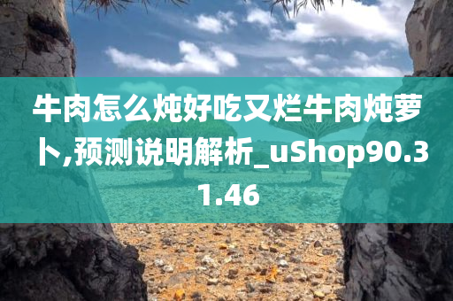 牛肉怎么炖好吃又烂牛肉炖萝卜,预测说明解析_uShop90.31.46