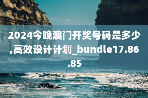 2024今晚澳门开奖号码是多少,高效设计计划_bundle17.86.85