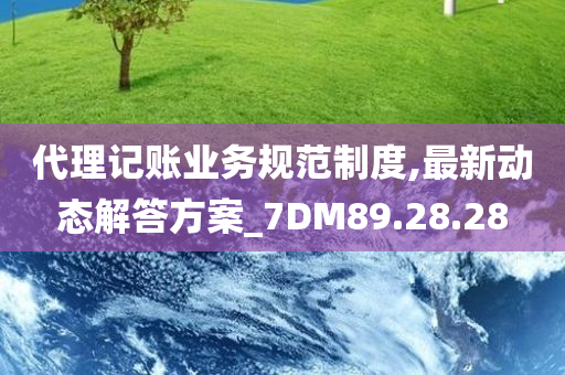 代理记账业务规范制度,最新动态解答方案_7DM89.28.28