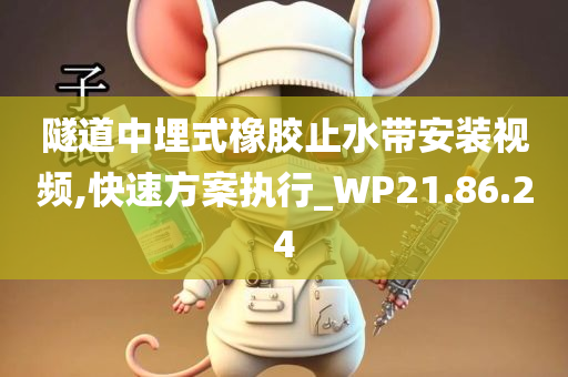 隧道中埋式橡胶止水带安装视频,快速方案执行_WP21.86.24