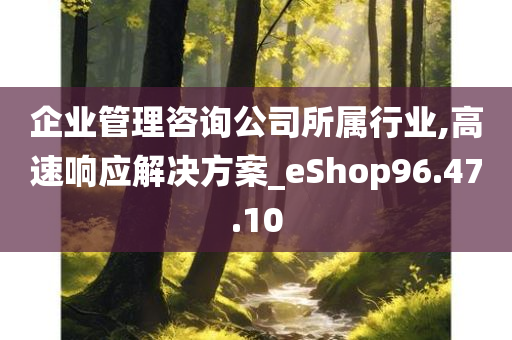 企业管理咨询公司所属行业,高速响应解决方案_eShop96.47.10