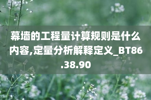 幕墙的工程量计算规则是什么内容,定量分析解释定义_BT86.38.90