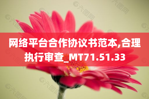 网络平台合作协议书范本,合理执行审查_MT71.51.33