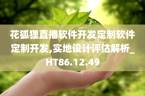 花狐狸直播软件开发定制软件定制开发,实地设计评估解析_HT86.12.49