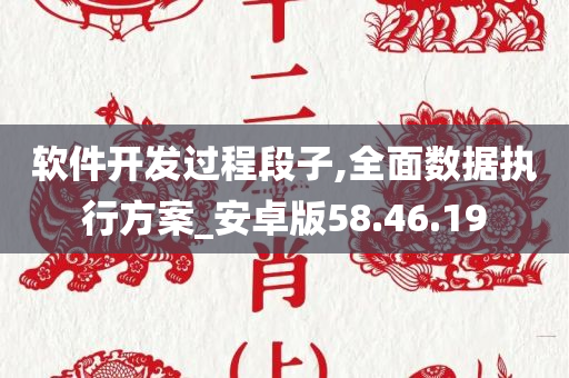 软件开发过程段子,全面数据执行方案_安卓版58.46.19