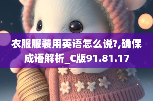 衣服服装用英语怎么说?,确保成语解析_C版91.81.17