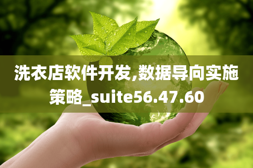 洗衣店软件开发,数据导向实施策略_suite56.47.60