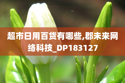 超市日用百货有哪些,郡未来网络科技_DP183127