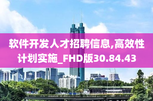 软件开发人才招聘信息,高效性计划实施_FHD版30.84.43