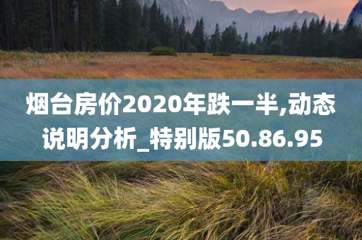 烟台房价2020年跌一半,动态说明分析_特别版50.86.95