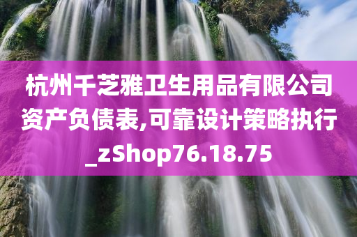 杭州千芝雅卫生用品有限公司资产负债表,可靠设计策略执行_zShop76.18.75