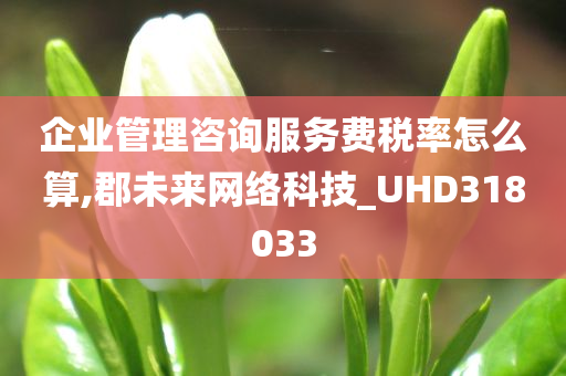 企业管理咨询服务费税率怎么算,郡未来网络科技_UHD318033