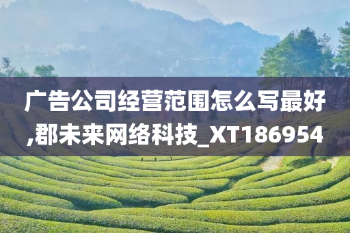 广告公司经营范围怎么写最好,郡未来网络科技_XT186954