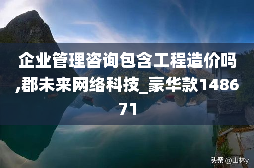 企业管理咨询包含工程造价吗,郡未来网络科技_豪华款148671