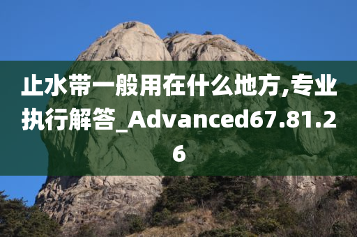 止水带一般用在什么地方,专业执行解答_Advanced67.81.26