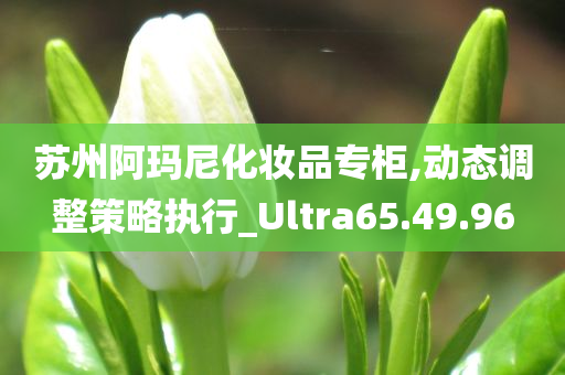 苏州阿玛尼化妆品专柜,动态调整策略执行_Ultra65.49.96