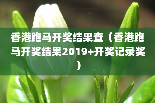 香港跑马开奖结果查（香港跑马开奖结果2019+开奖记录奖）