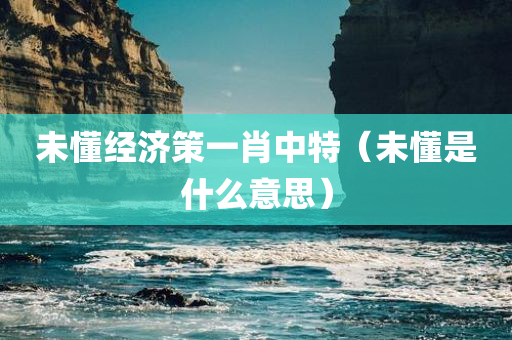 未懂经济策一肖中特（未懂是什么意思）