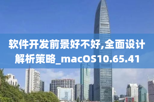 软件开发前景好不好,全面设计解析策略_macOS10.65.41