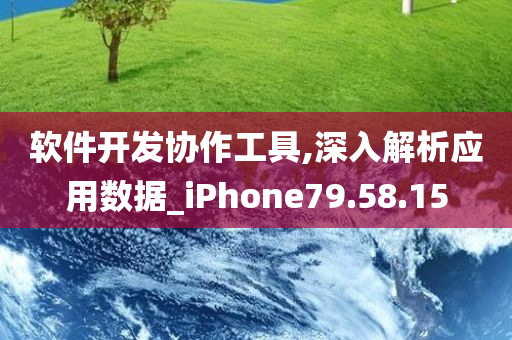 软件开发协作工具,深入解析应用数据_iPhone79.58.15